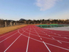 Wholesale Price Hybrid Athletic Running Track for Sports Flooring Playground with Laaf