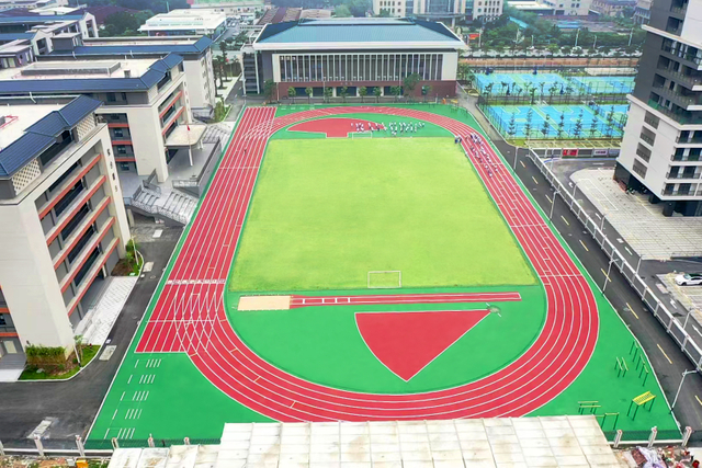 Wholesale Price Hybrid Athletic Running Track for Sports Flooring Playground with Laaf